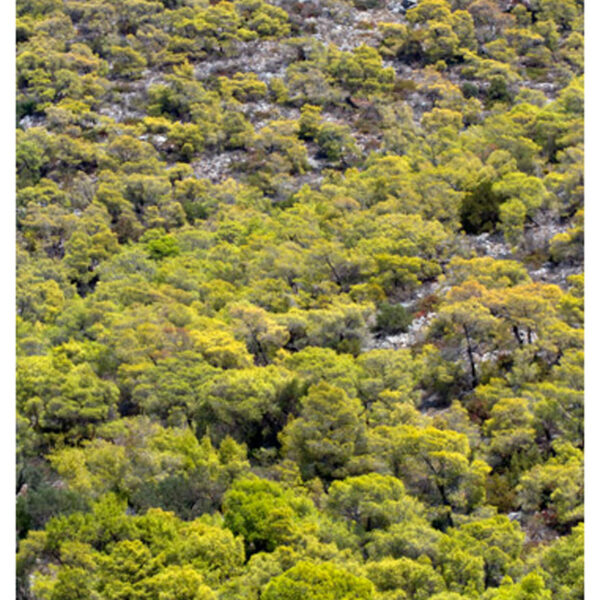 τυπικό τοπίο του νησιού