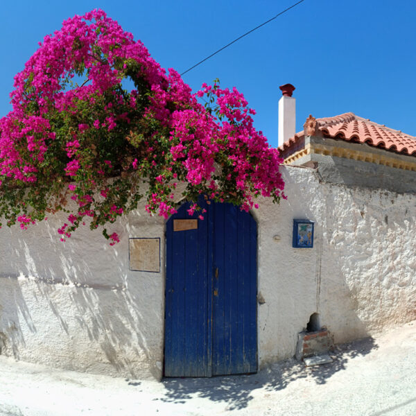 IMG_20220626_155609_stitch